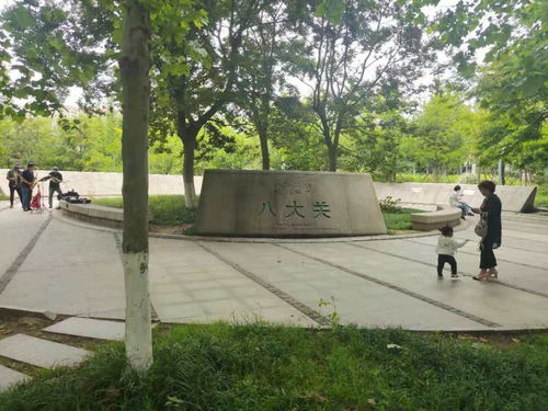 青島一日 海風、親人、藍莓酒香